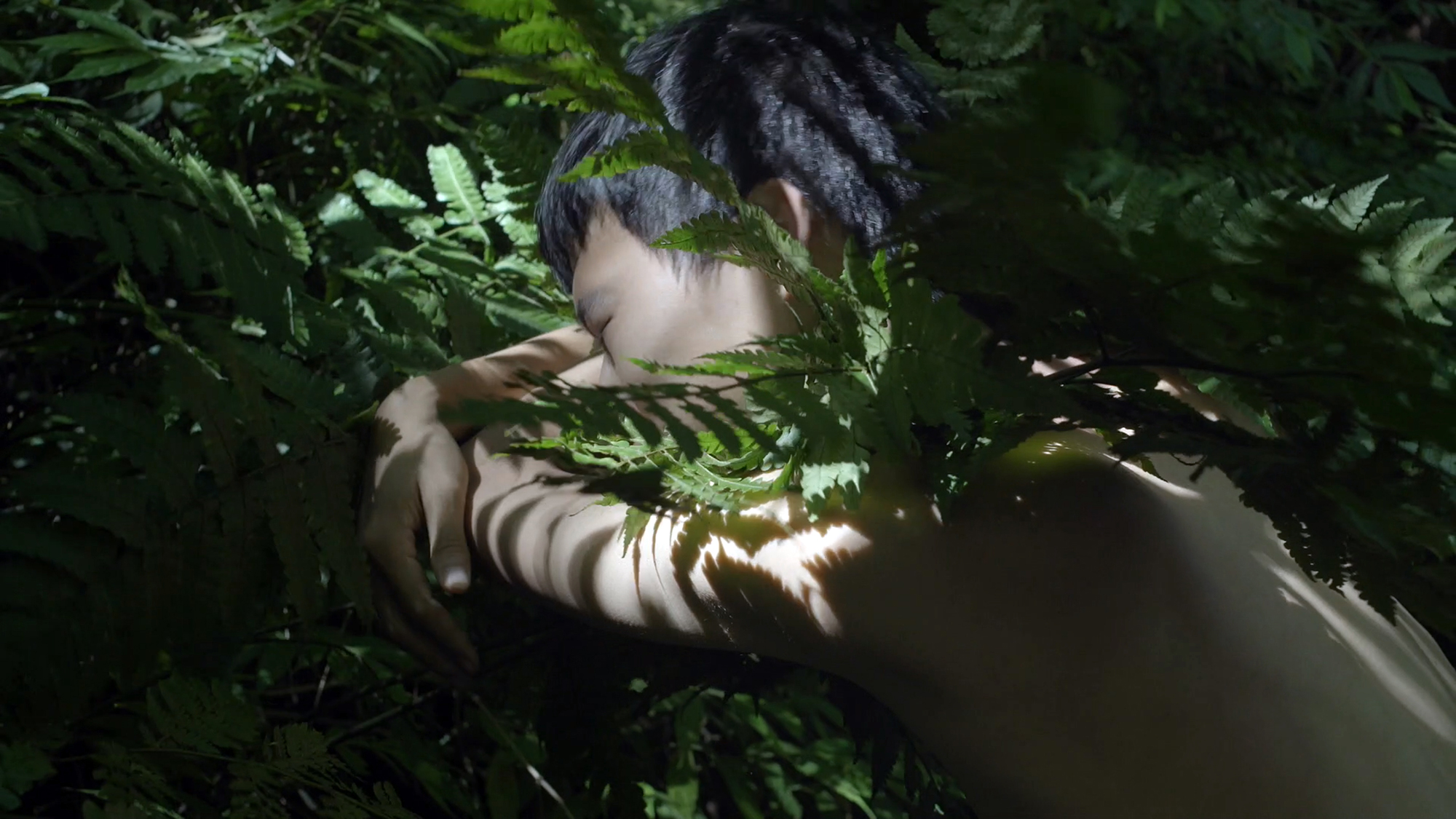 Two performers surrounded by ferns